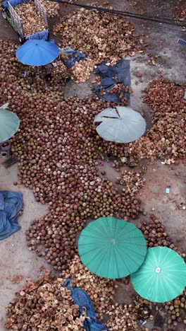 pile of coconuts and husks with umbrellas
