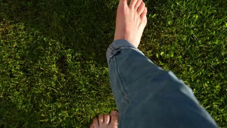 barefoot caucasian man in jeans is walking on soft grass in garden