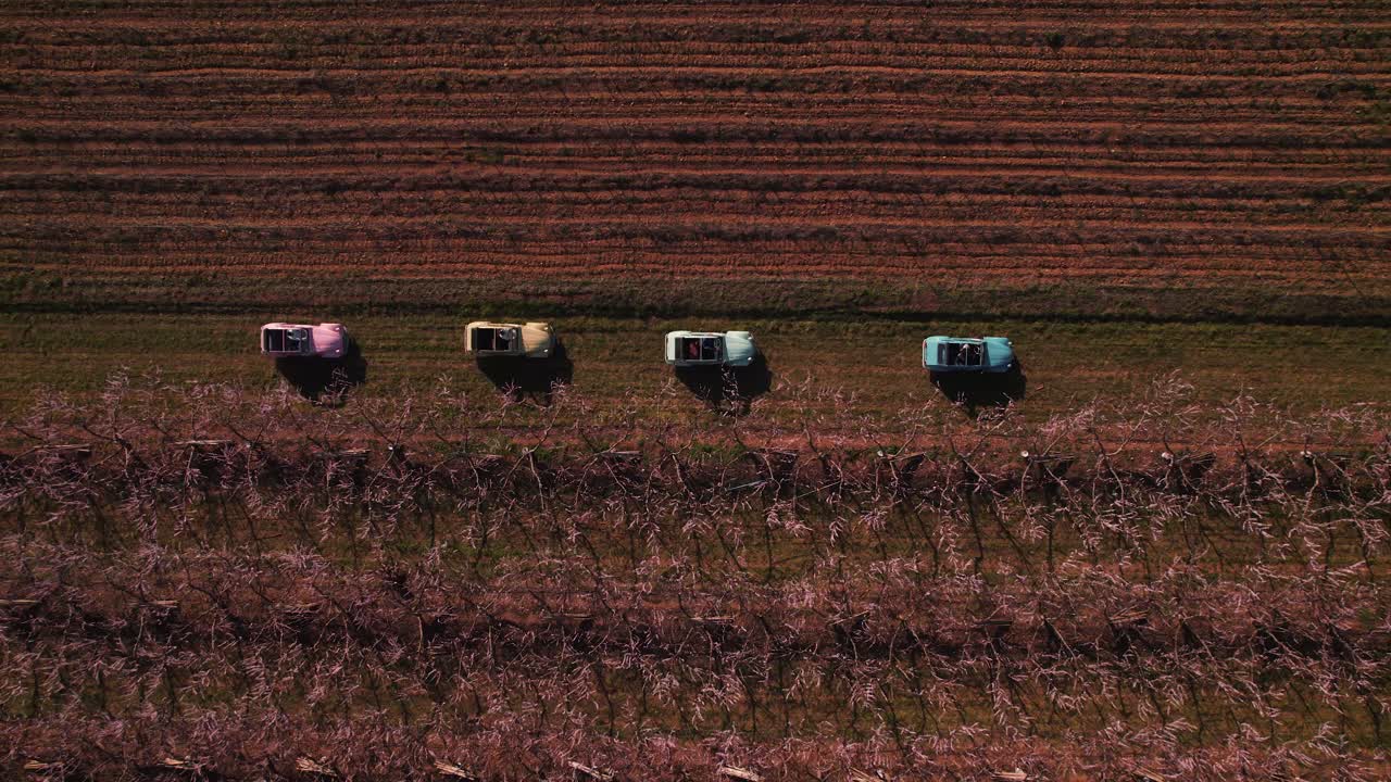 disparo ascendente de arriba hacia abajo de vintage deux chevaux coches conduciendo a través de un campo en francia