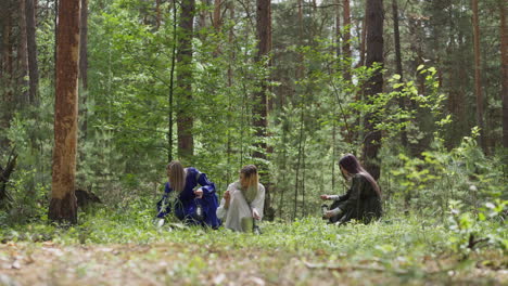 women in medieval costumes pick medicinal herbs in wood