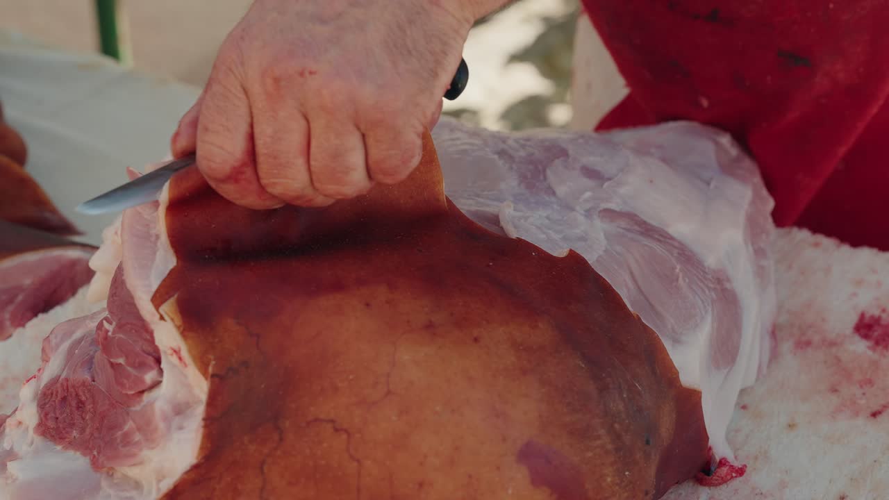 Hand cuts into pig carcass with skin on during traditional butchering in north Portugal