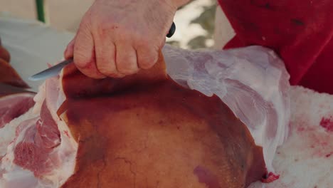 hand cuts into pig carcass with skin on during traditional butchering in north portugal