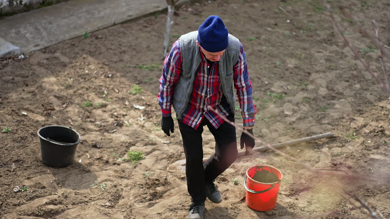 Senior man is pouring some water from a bucket. Farmer takes a young tree to plant it in the garden.