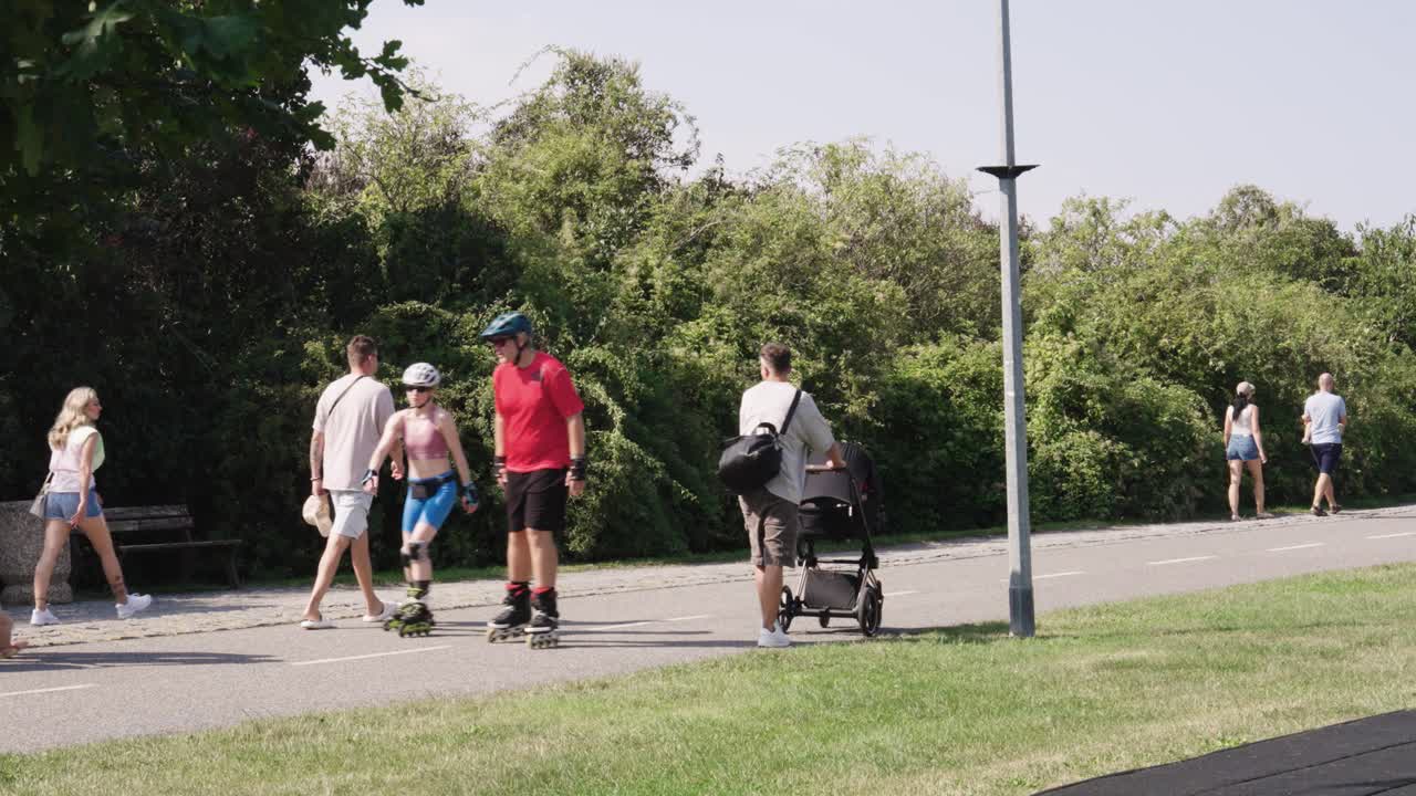 Family Walking in a Park on a Sunny Day