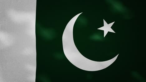 la bandera pakistaní de tela densa ondulaciones, bucle de fondo