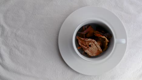 Dried-Porcini-mushroom-on-white-ceramic-tableware-on-white-table-mat