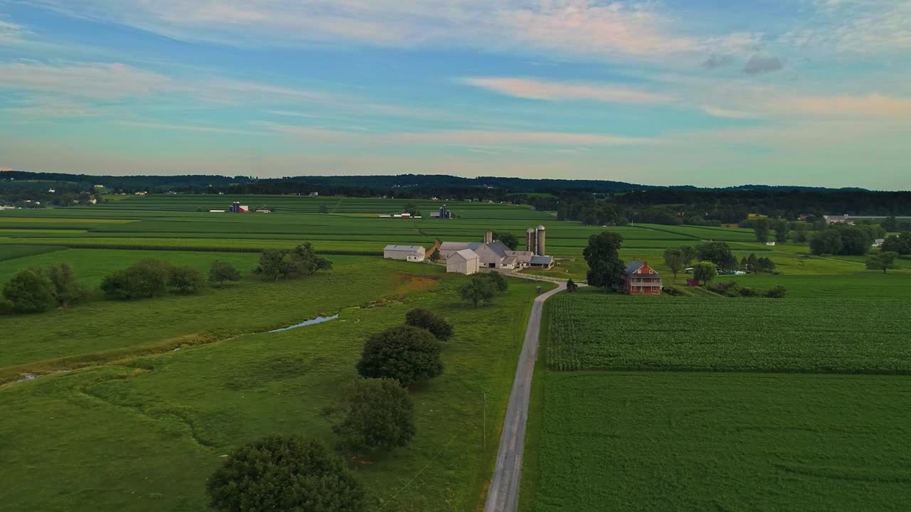Vista aerea di campi di mais, fertili terreni agricoli e fattorie durante l'ora d'oro in una soleggiata giornata estiva