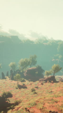 paisaje panorámico con niebla y árboles
