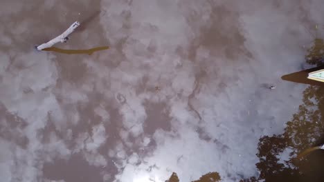 bird's eye view of fishermen on the amazon river - aerial drone shot