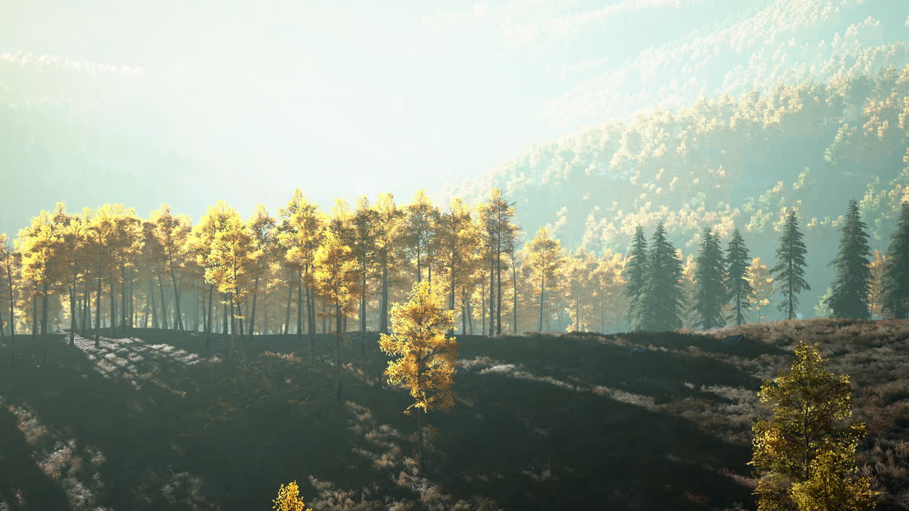 황금색 노란색과 초록색의 숲의 아름다운 풍경