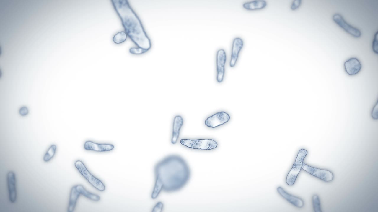 virus de célula en forma lineal. virus patógenos que causan infección. animación en bucle de virus humanos. microorganismo bacteriano. brote de enfermedad viral.