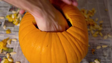 calabaza tallada dentro de jack o' lantern con cuchara y manos masculinas con semillas en el interior: calabaza madura de color naranja vivo tallada para decoración de halloween