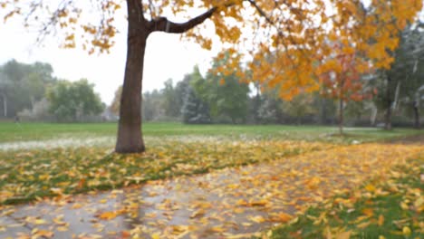 snowfall in october in boulder, co, usa