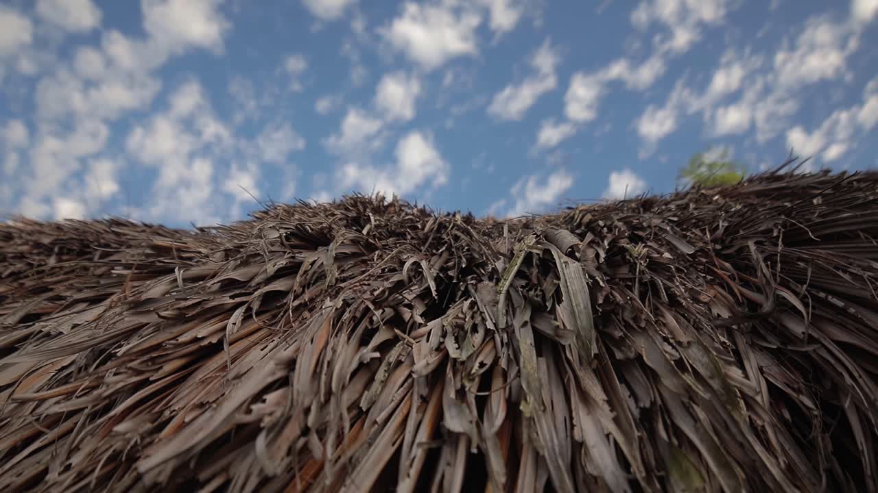 Close-up from bottom to top of traditional indigenous thatch wooden hut roof with blue sky in background