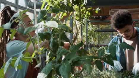 giardinieri che lavorano all'interno