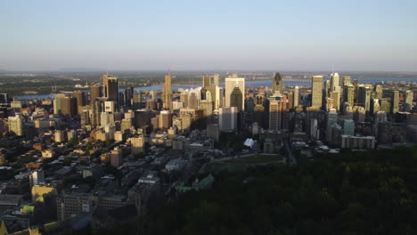 aerial view over forest on mount royal, toward the downtown of montreal, canada