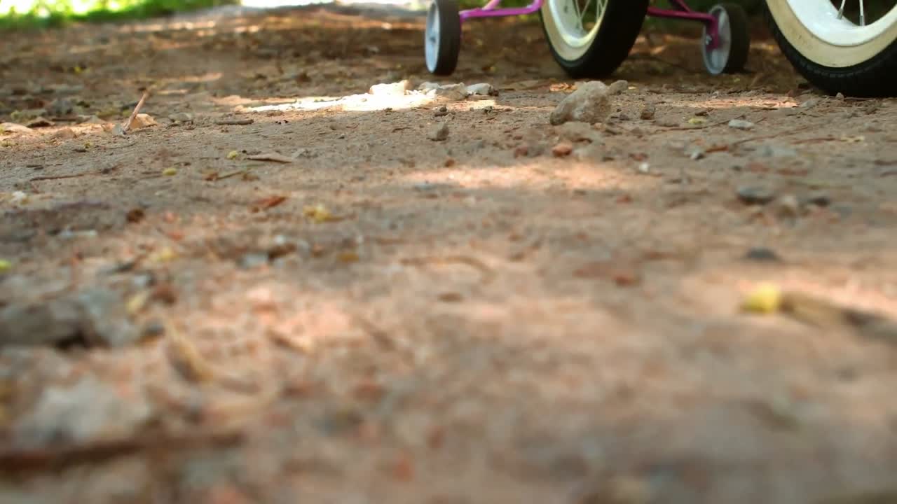 Bicicletta in movimento nel parco