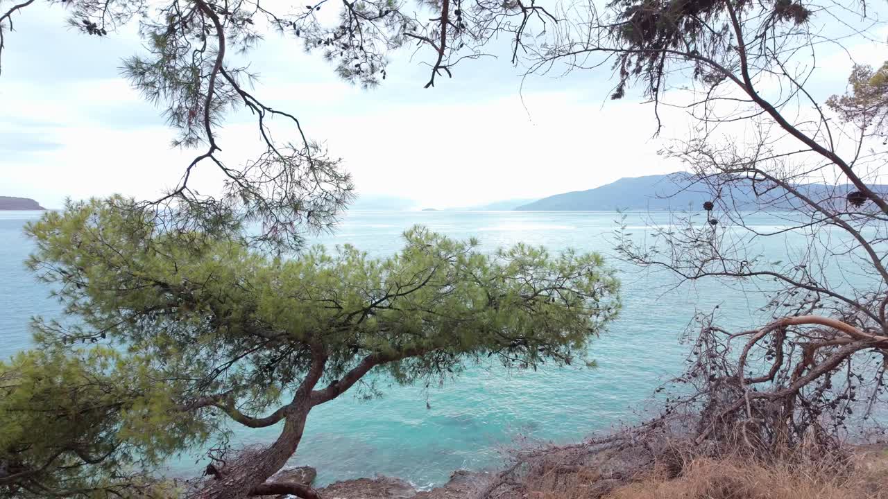 Views faraway land over Azure sea, Mediterranean pine trees frame