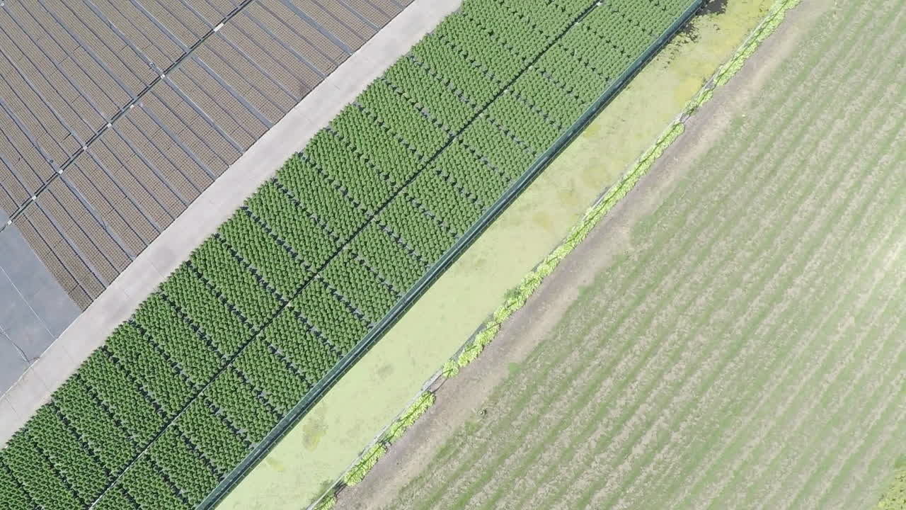 형형색색의 식물 종묘장 위로 날아가는 하향식 드론 샷