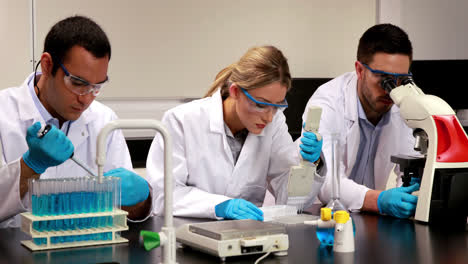 young scientists working together in the lab