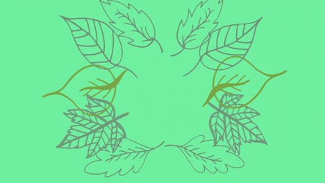 animation of a frame of plant leaves forming on green background