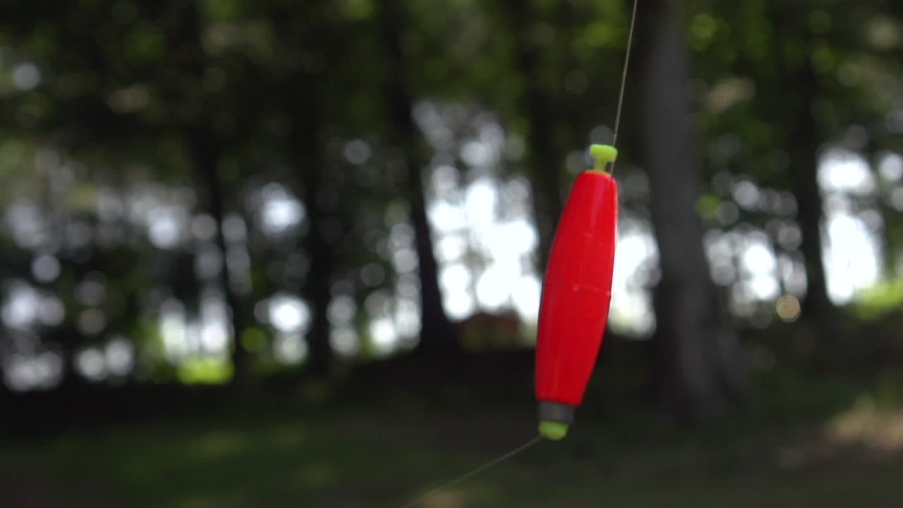 pesca de agua dulce y aparejos pesca de agua dulce y aparejos