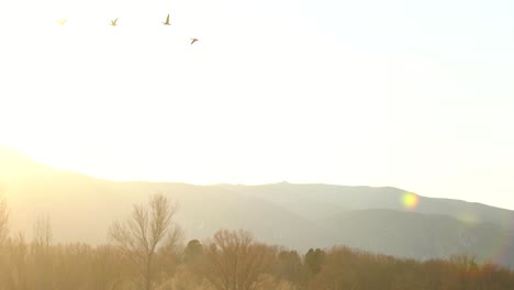 Bandada-De-Gansos-Volando-Sobre-Un-Fondo-De-Montañas