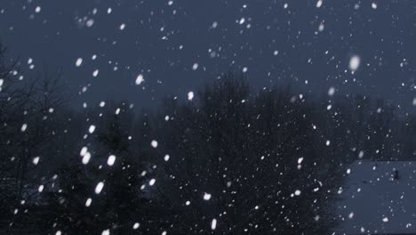 january snowfall on a dark evening, panning from right to left, with trees and houses in the background