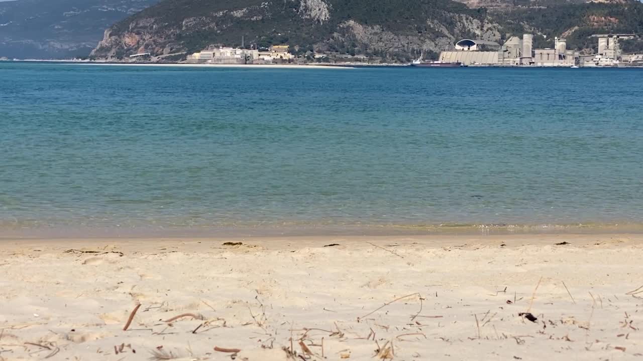 청록색 물과 황금빛 해변의 색상 대비