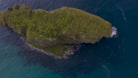 antenne über der vogelschar, die über der insel castro ballota schwebt, klares wasser