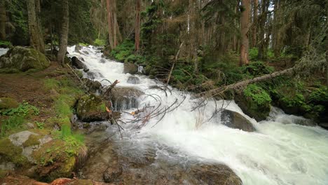 Río-De-Montaña-En-El-Bosque-En-Cámara-Lenta.-Hermoso-Paisaje-De-Vida-Silvestre.