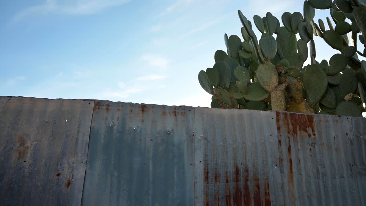 vieja valla de chapa oxidada con plantas de cactus altas detrás en tucson, arizona bajo el cielo azul brillante - tiro panorámico