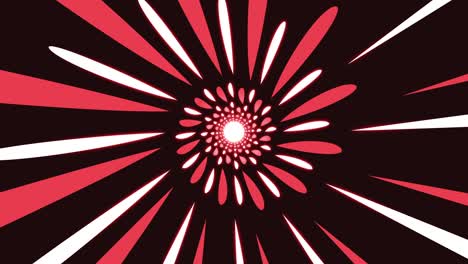 abstract animation with rounded red lines looped spherical elegant background