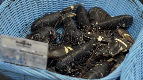 fresh lobsters in a basket at a market