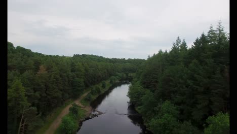 Río-Con-Arbusto-Verde-4k