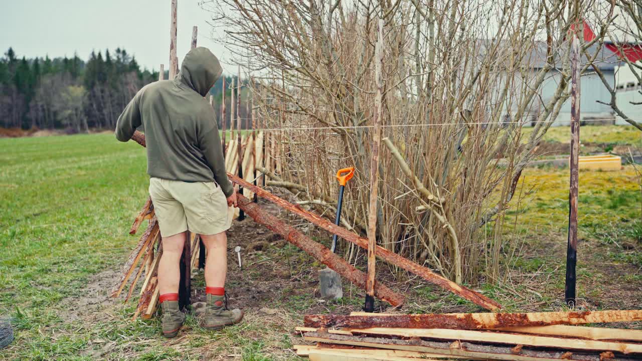 Male Constructing Skigard (Traditional Fence) In Norway