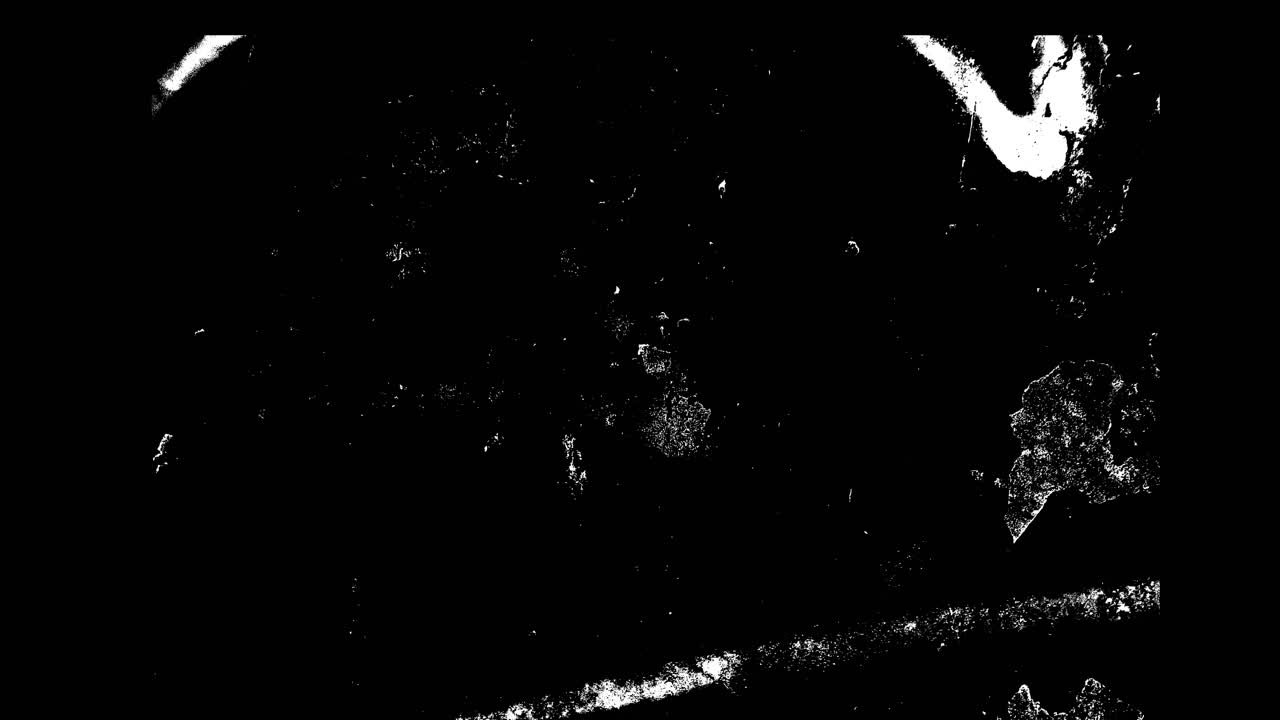 Dynamic Black and White Grunge Texture Overlay