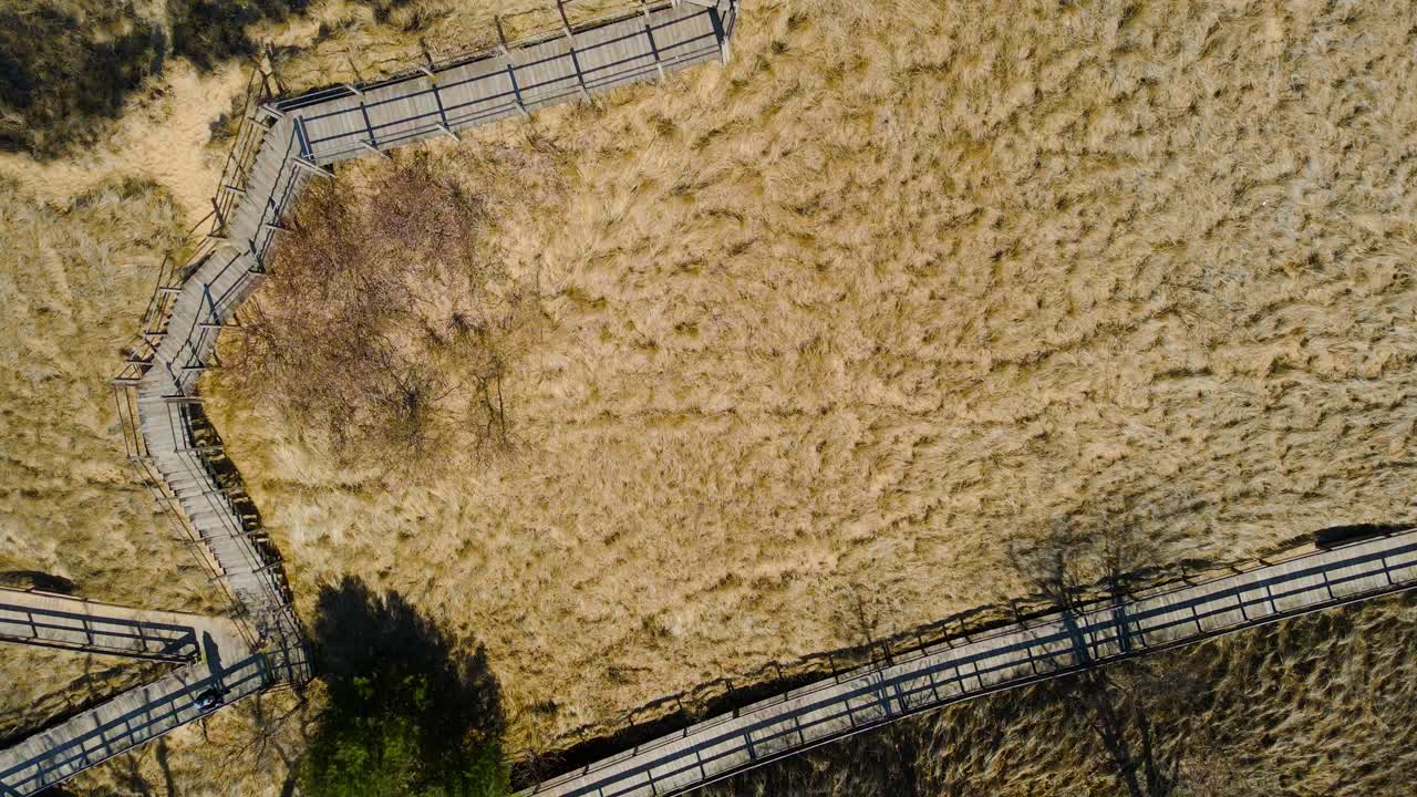 pista de downscreen de los paseos en el parque kruse