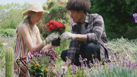 happy diverse couple gardening in garden on sunny day