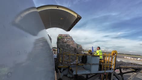 loading palletized freight onto a cargo aircraft, daytime sunny weather