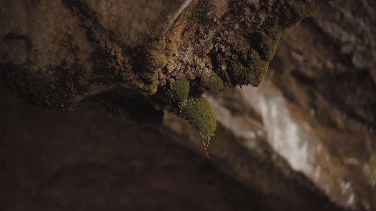 súper primer plano de musgo en una roca dentro de una cueva