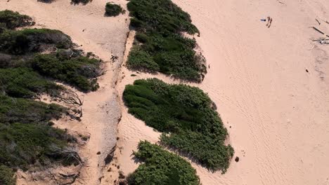Flying-over-the-sea,-beach-and-sand-dune-in-Sardaigna,-dunes-of-Piscinas