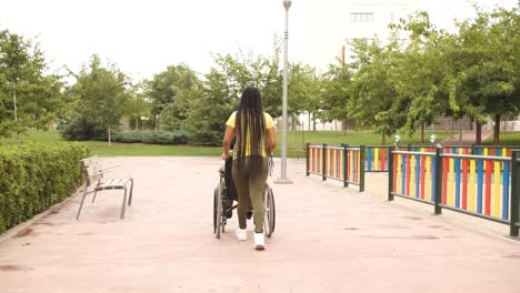 person pushing a wheelchair in a park