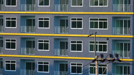 grupo de pájaros sentados en un cable eléctrico frente al edificio al aire libre y luego volando
