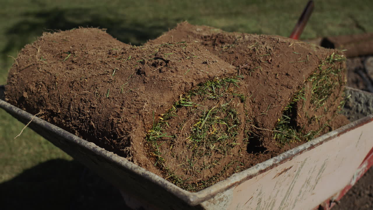 Wheelbarrow with lawn rolls. Landscaping works on the territory of the house. Gardener's inventory