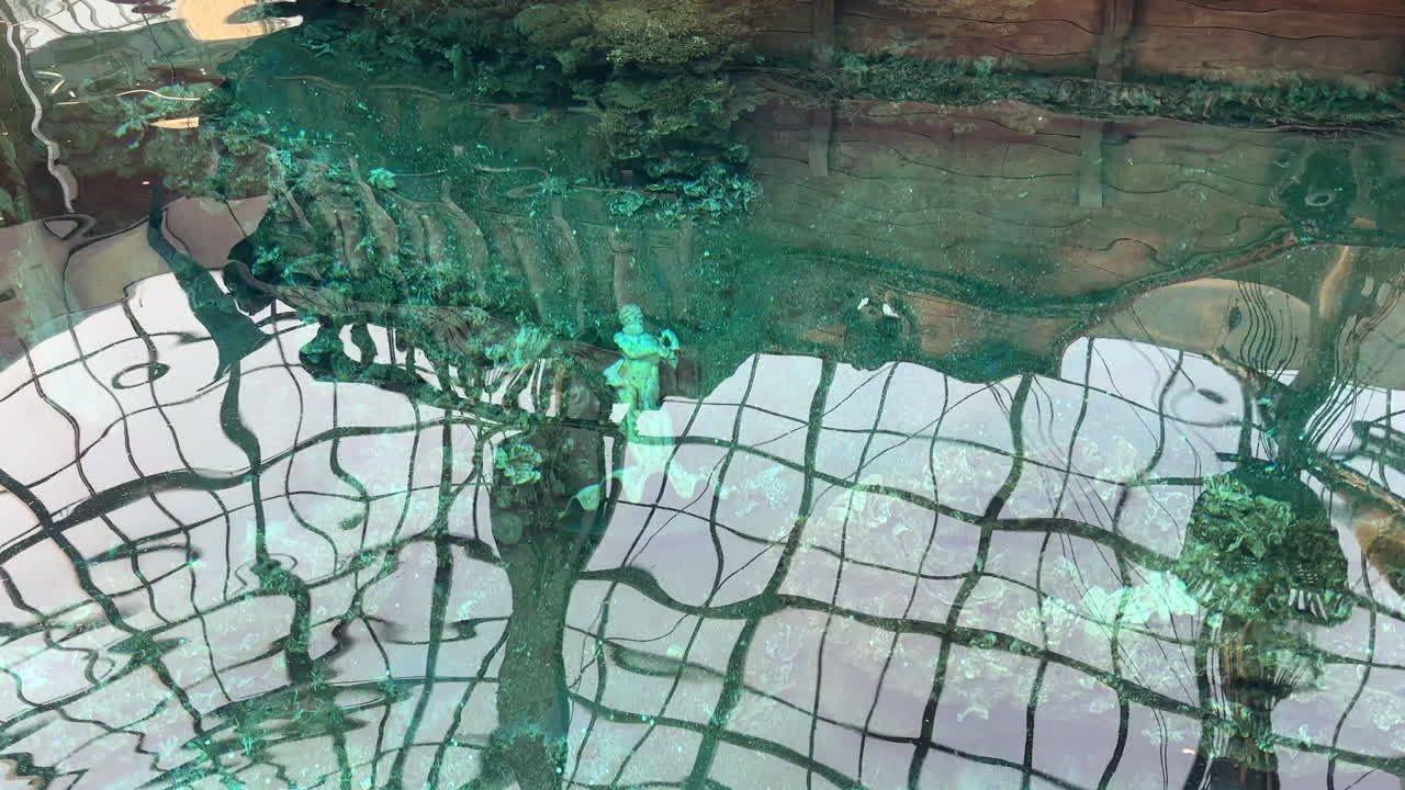 Reflections in a Glass-Ceilinged Pond