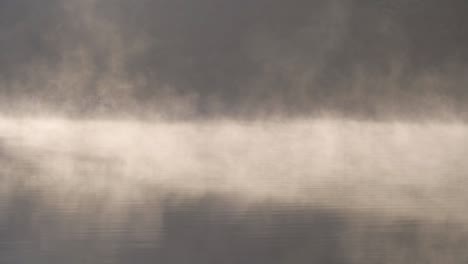 fog or mist on river lake with forest trees in reservoir. reflection from water.