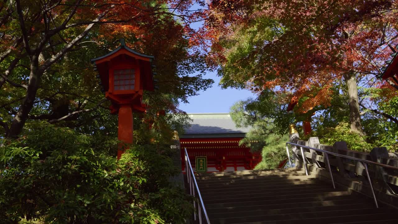 Incredible slow motion cinematic view over fall color scenery at Japanese Shrine