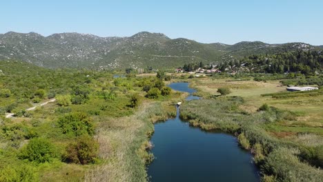 Boat-Sails-through-Cane-Fields-Over-Bacina-Lakes,-Dalmatia,-Croatia---Aerial