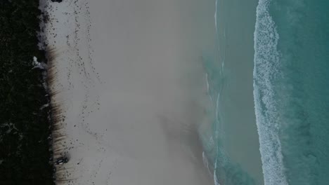 Vista-Panorámica-De-La-Playa-De-Arena-Blanca-De-Lucky-Bay-Beach-Cerca-De-La-Zona-De-Cape-Le-Grand-En-Australia-Occidental